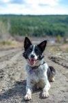 Lexi-3.jpg